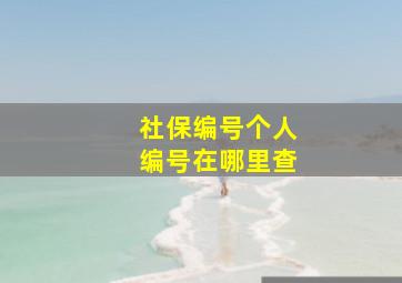 社保编号个人编号在哪里查