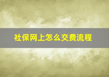 社保网上怎么交费流程