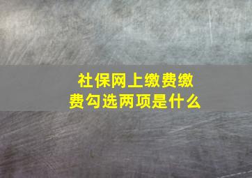 社保网上缴费缴费勾选两项是什么