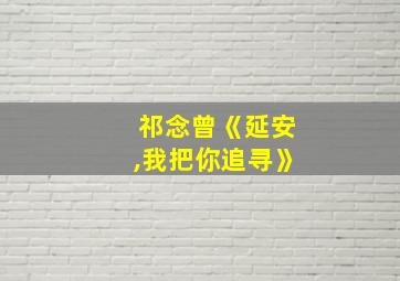 祁念曾《延安,我把你追寻》