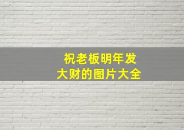 祝老板明年发大财的图片大全