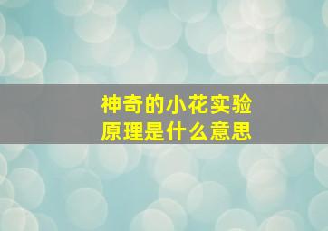 神奇的小花实验原理是什么意思