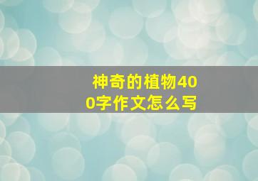 神奇的植物400字作文怎么写