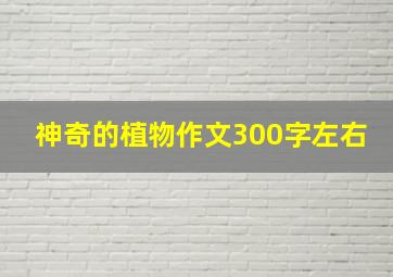 神奇的植物作文300字左右