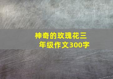 神奇的玫瑰花三年级作文300字