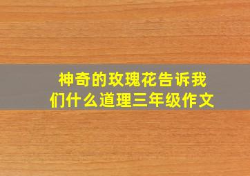 神奇的玫瑰花告诉我们什么道理三年级作文