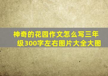 神奇的花园作文怎么写三年级300字左右图片大全大图