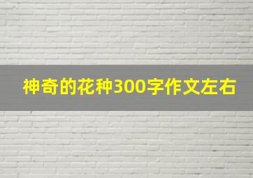 神奇的花种300字作文左右