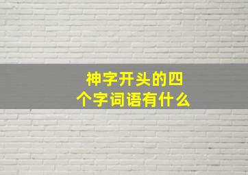 神字开头的四个字词语有什么