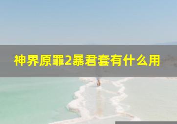 神界原罪2暴君套有什么用