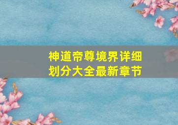 神道帝尊境界详细划分大全最新章节