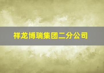 祥龙博瑞集团二分公司