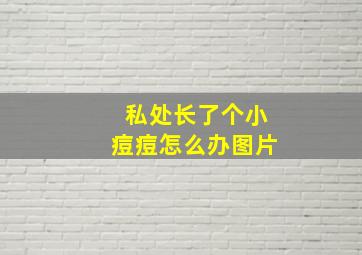 私处长了个小痘痘怎么办图片