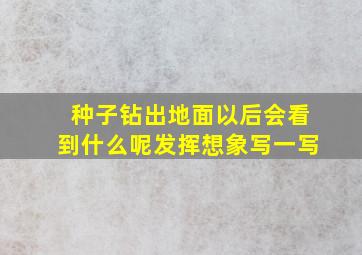 种子钻出地面以后会看到什么呢发挥想象写一写