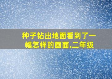 种子钻出地面看到了一幅怎样的画面,二年级