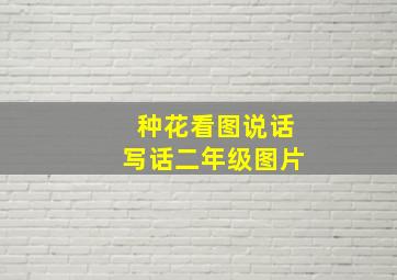 种花看图说话写话二年级图片