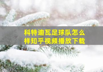 科特迪瓦足球队怎么样知乎视频播放下载