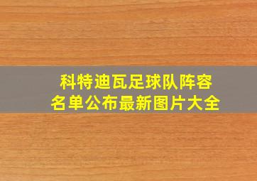 科特迪瓦足球队阵容名单公布最新图片大全