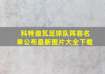 科特迪瓦足球队阵容名单公布最新图片大全下载