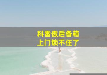 科雷傲后备箱上门锁不住了