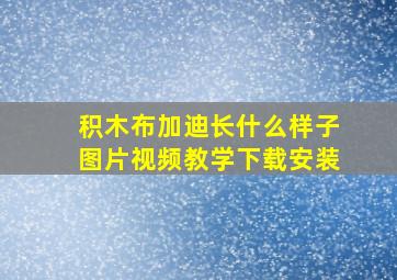 积木布加迪长什么样子图片视频教学下载安装