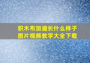 积木布加迪长什么样子图片视频教学大全下载