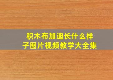 积木布加迪长什么样子图片视频教学大全集