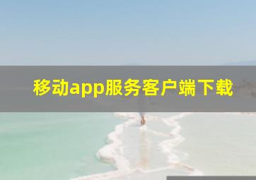 移动app服务客户端下载