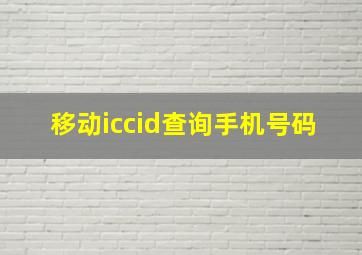 移动iccid查询手机号码