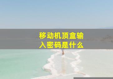 移动机顶盒输入密码是什么