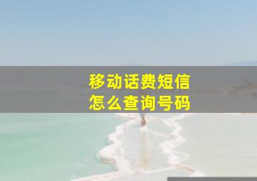 移动话费短信怎么查询号码