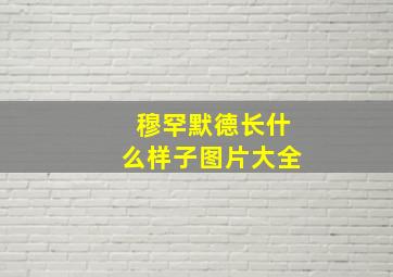 穆罕默德长什么样子图片大全