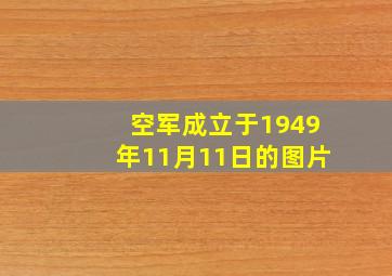 空军成立于1949年11月11日的图片