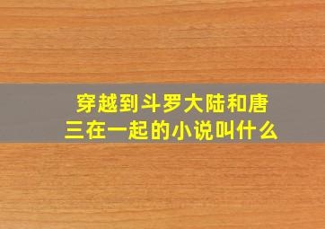 穿越到斗罗大陆和唐三在一起的小说叫什么