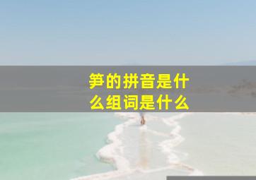 笋的拼音是什么组词是什么