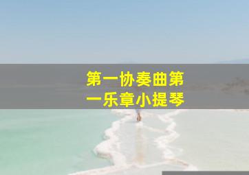 第一协奏曲第一乐章小提琴