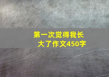 第一次觉得我长大了作文450字