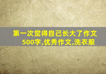 第一次觉得自己长大了作文500字,优秀作文,洗衣服