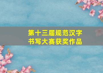 第十三届规范汉字书写大赛获奖作品