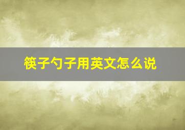 筷子勺子用英文怎么说