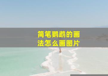 简笔鹦鹉的画法怎么画图片