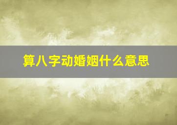 算八字动婚姻什么意思