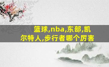 篮球,nba,东部,凯尔特人,步行者哪个厉害