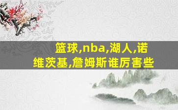 篮球,nba,湖人,诺维茨基,詹姆斯谁厉害些