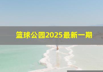 篮球公园2025最新一期