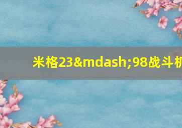 米格23—98战斗机