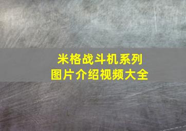 米格战斗机系列图片介绍视频大全