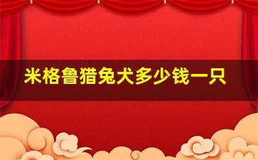 米格鲁猎兔犬多少钱一只