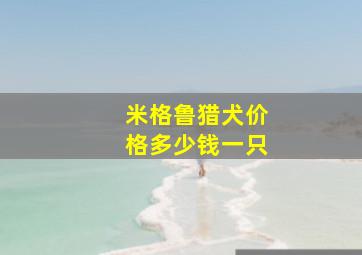 米格鲁猎犬价格多少钱一只