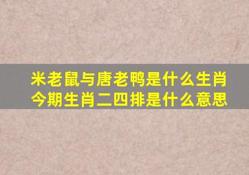 米老鼠与唐老鸭是什么生肖今期生肖二四排是什么意思